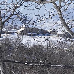 SDC15365.jpg