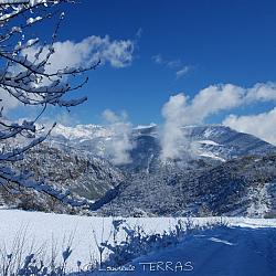Route forestière enneigée