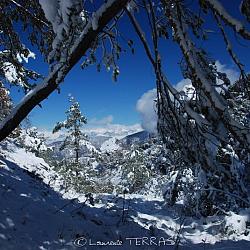 Neige de Mars