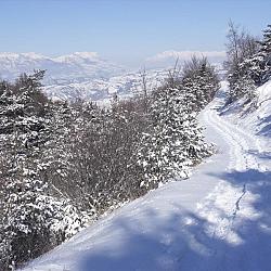 SDC15358.jpg