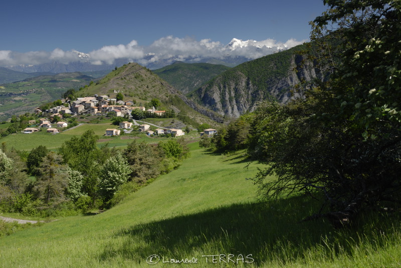 Vues de Piegut en été Mairie de Piégut (05130)