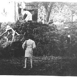 Rue de Pré Lafont - Aire de battage