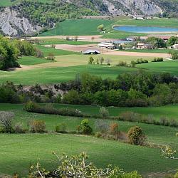 Nuances de printemps